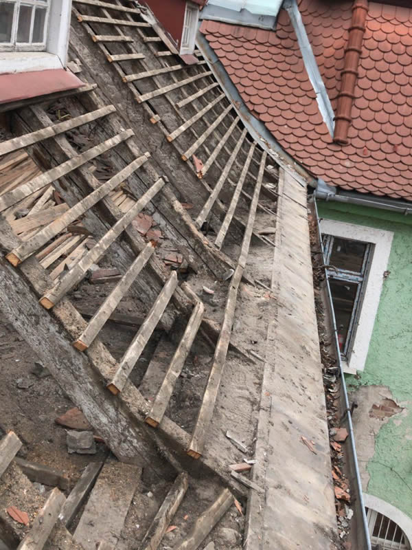 Activităţi desfăşurate în luna februarie 2019